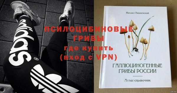 таблы Новодвинск