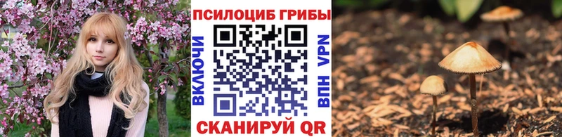 Галлюциногенные грибы Magic Shrooms  кракен как зайти  Петушки 